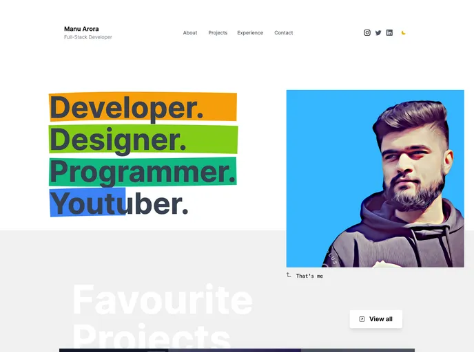 Simple Developer Portfolio Website screenshot